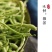 正宗金银花河南封丘带绒毛金银花新货金银花特级无硫干金银花