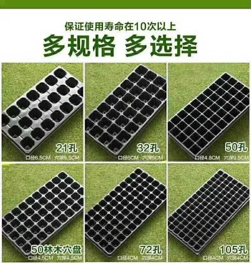 穴盘72孔98孔105孔128孔用于辣椒西红柿花菜白菜等