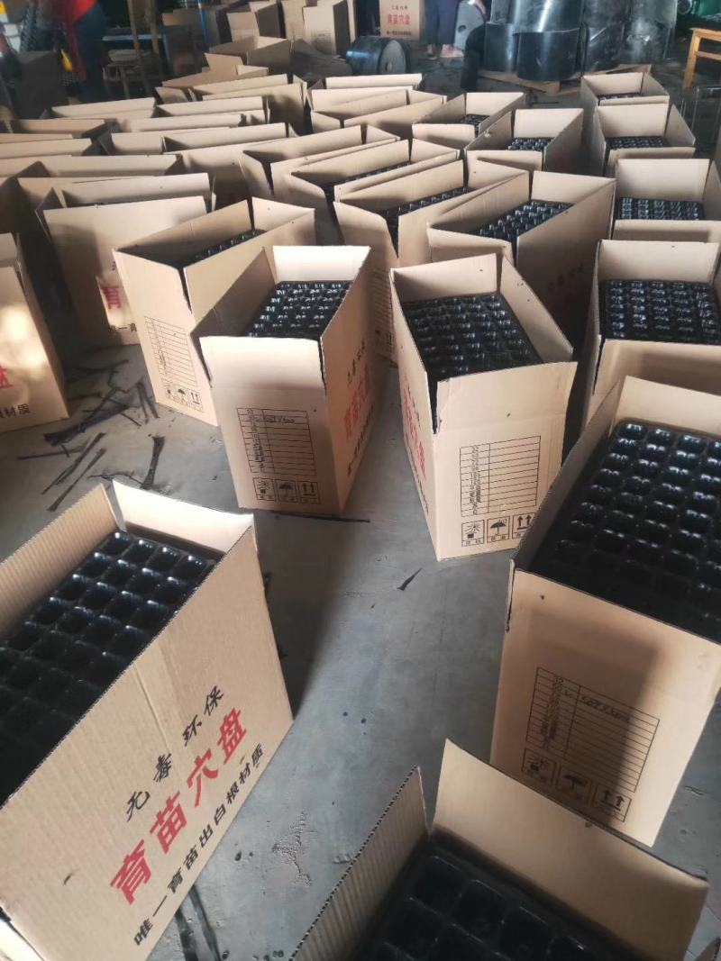 穴盘72孔98孔105孔128孔用于辣椒西红柿花菜白菜等