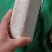 茯苓菌种优质高产粮食种，产地直销，欢迎前来选购