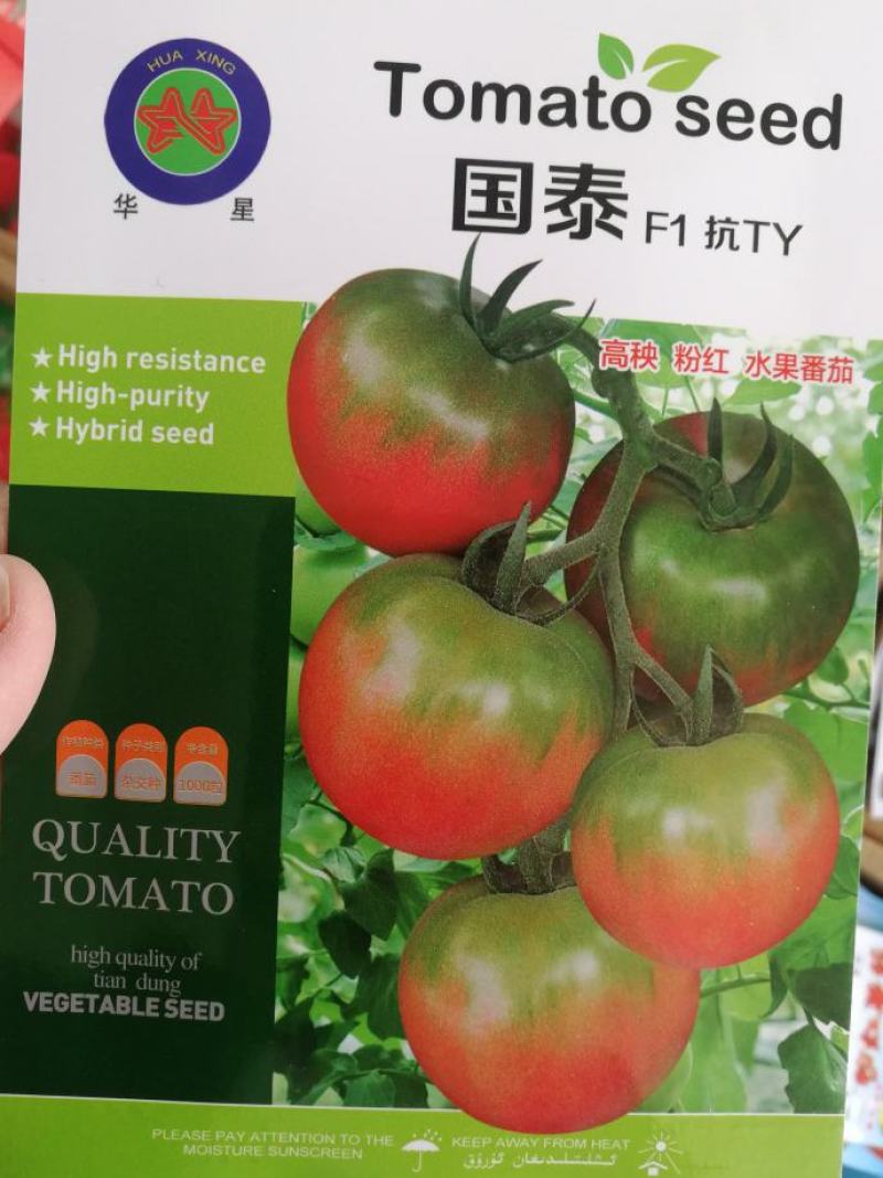 甜蜜蜜西红柿种子，甜蜜蜜F1没错,就是小时候的味道!
