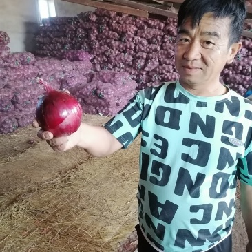 洋葱