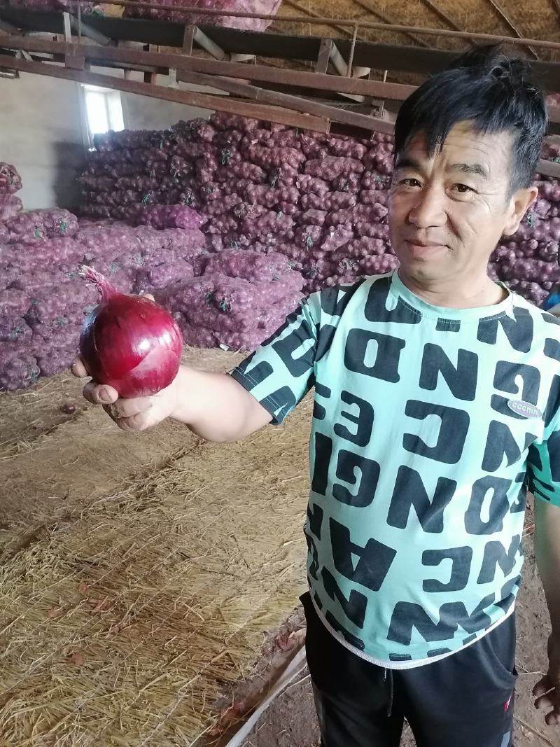 洋葱