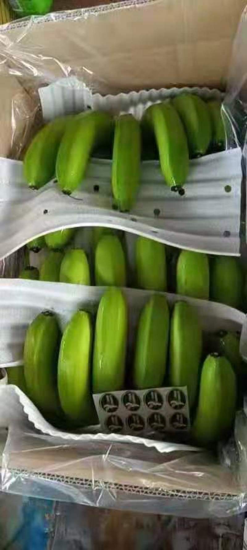 香蕉