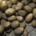 新土豆大量上市了