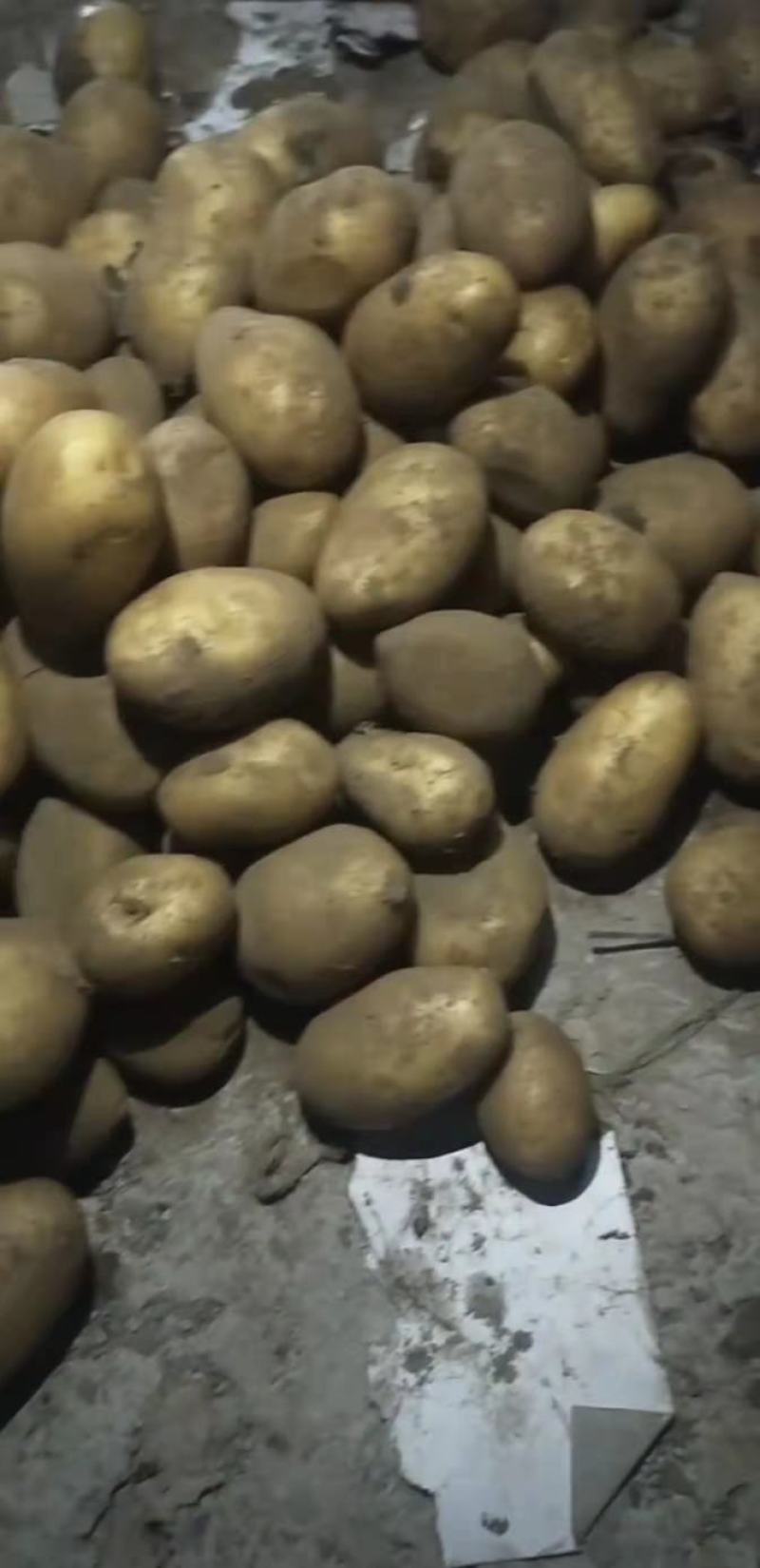新土豆大量上市了