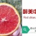 【橙子苗】福建西瓜橙苗/赣南红肉脐橙/卡拉血橙苗