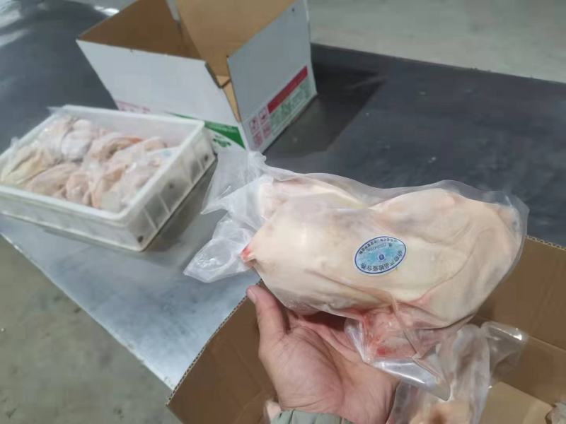 电商专用老母鸡