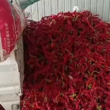 辣椒