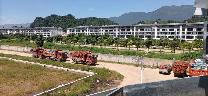 忆晶香牌开口笑爆壳特大夏威夷果一件代发年货干果