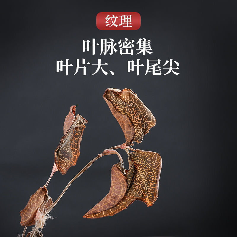 金线莲干品整株养生茶无硫熏大叶泡茶煲汤包邮