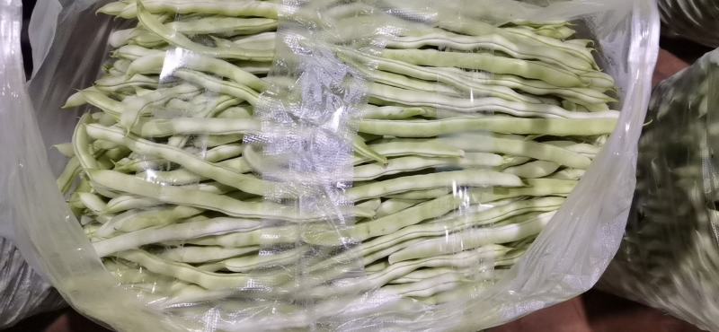 白优衣