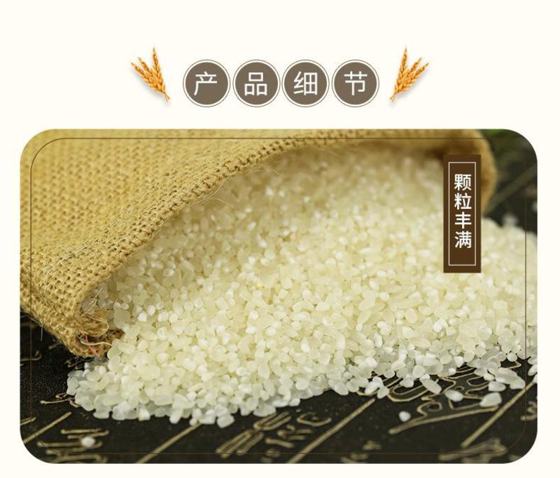 五常大米鸭田稻米礼盒装2022年新米上市