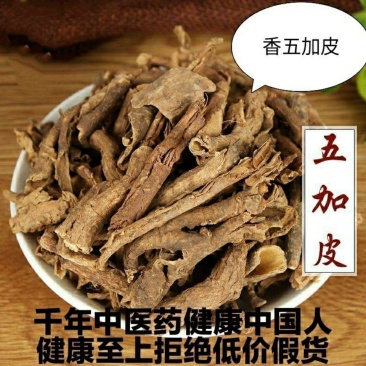 香加皮河南香五加皮无硫实拍图干净无杂一公斤起包邮