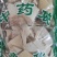 梧桐根干货干净无杂质量大从优