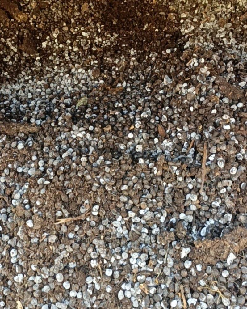 羊粪：有机肥料：颗粒羊粪，纯羊粪，湖州大量供应干羊粪