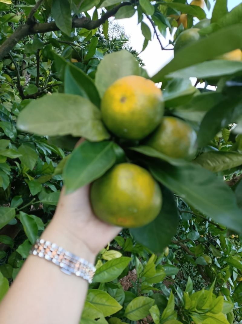 诚信接待每一位客户是我的职责所在，品质有保障！