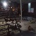大量供应六个月以上散养树林鸡。