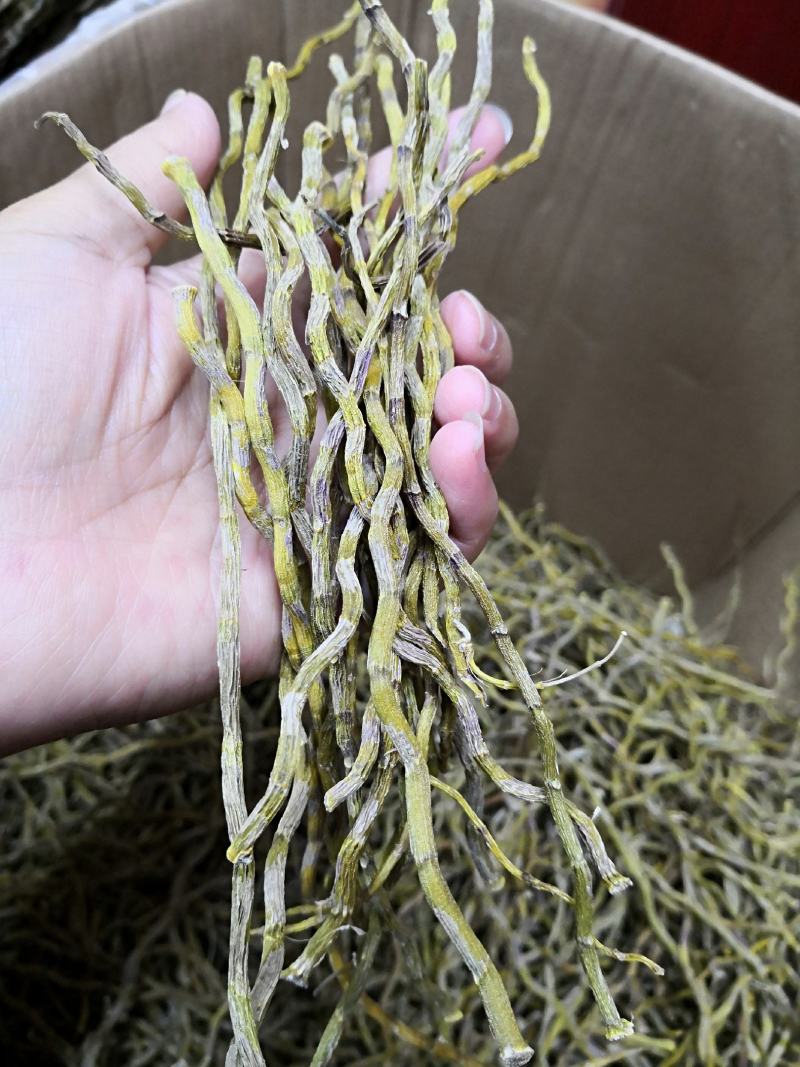 浙江铁皮石斛干条胶质好2斤起包邮量大从优