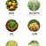 20%噻唑锌碧生黄瓜、草莓细菌性角斑病细菌性穿孔病