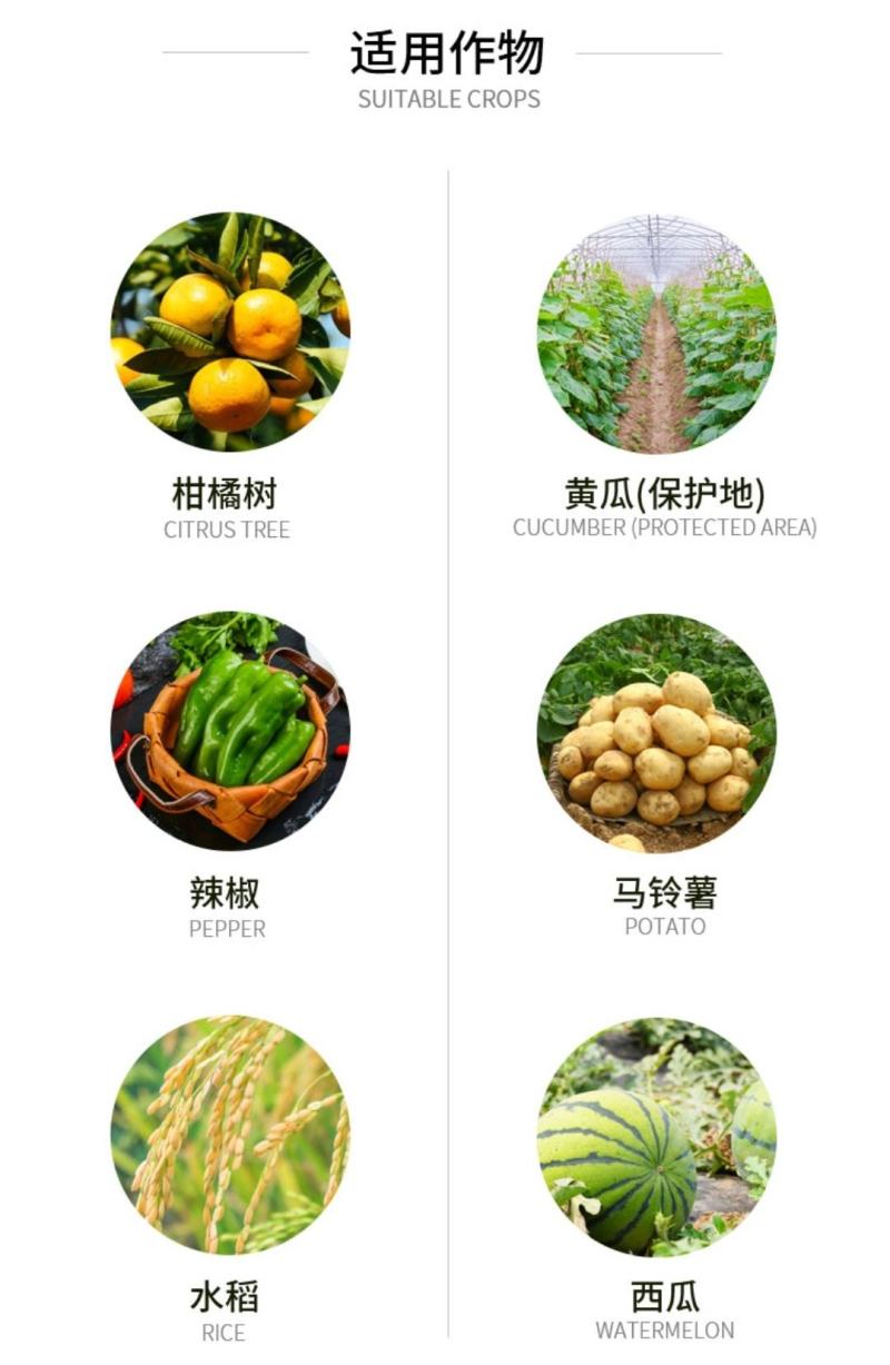 20%噻唑锌碧生黄瓜、草莓细菌性角斑病细菌性穿孔病