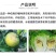 20%噻唑锌碧生黄瓜、草莓细菌性角斑病细菌性穿孔病