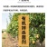 20%噻唑锌碧生黄瓜、草莓细菌性角斑病细菌性穿孔病
