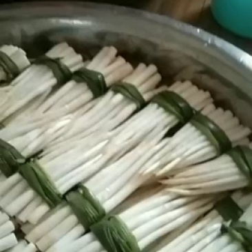 云南文山新鲜草牙，象牙菜可以凉拌，包汤，小炒