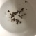侧柏种子，柏树种子新货精选量大从优，8个