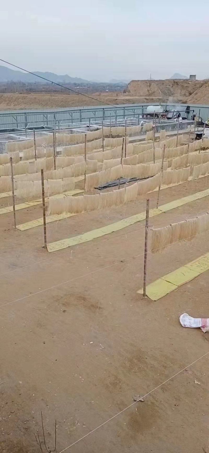 红薯粉条