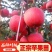 嫁接红富士冰糖心苹果树苗乔化抗寒山东烟台红富士烟富苹果苗
