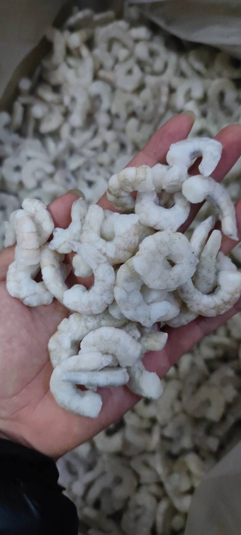 速冻单冻南美白对虾，青虾仁，挑肠剥壳虾仁。