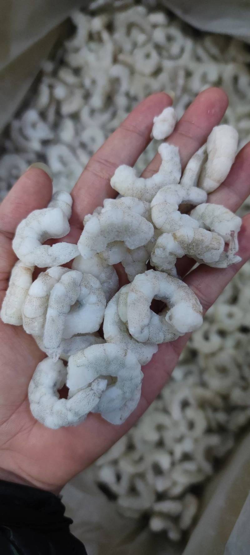 速冻单冻南美白对虾，青虾仁，挑肠剥壳虾仁。
