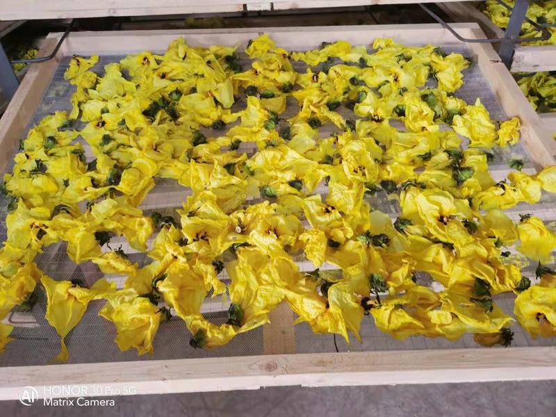 黄蜀葵花中药材产地直发二公斤包邮常年供应