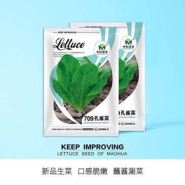 709孔雀菜生菜种子，速生，脆嫩爽口，易栽培