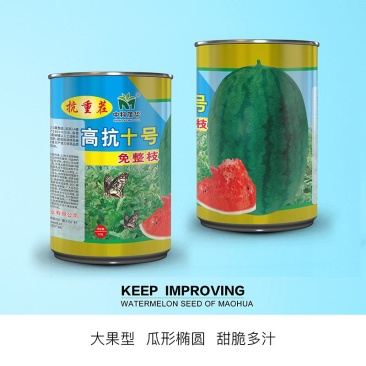 高抗十号西瓜种子，抗重茬免整枝打杈，籽少沙甜多汁