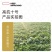 高抗十号西瓜种子，抗重茬免整枝打杈，籽少沙甜多汁