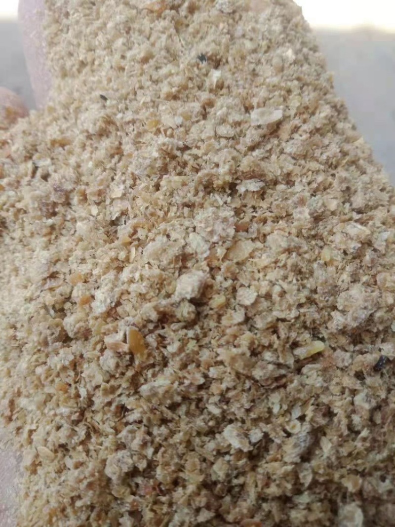 厂家直销优质豆饼牛羊猪好饲料保质保量