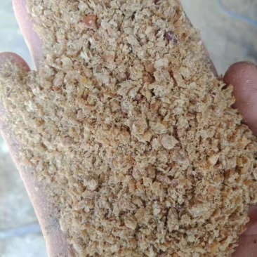 厂家直销优质豆饼牛羊猪好饲料保质保量