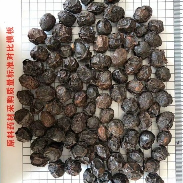 广枣批零均可量大从优欢迎选购！