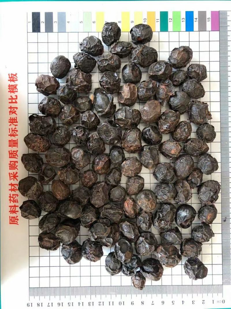 广枣批零均可量大从优欢迎选购！