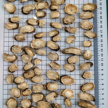 牛蒡根片干货常年经营各种中药材量大从优欢迎选购！