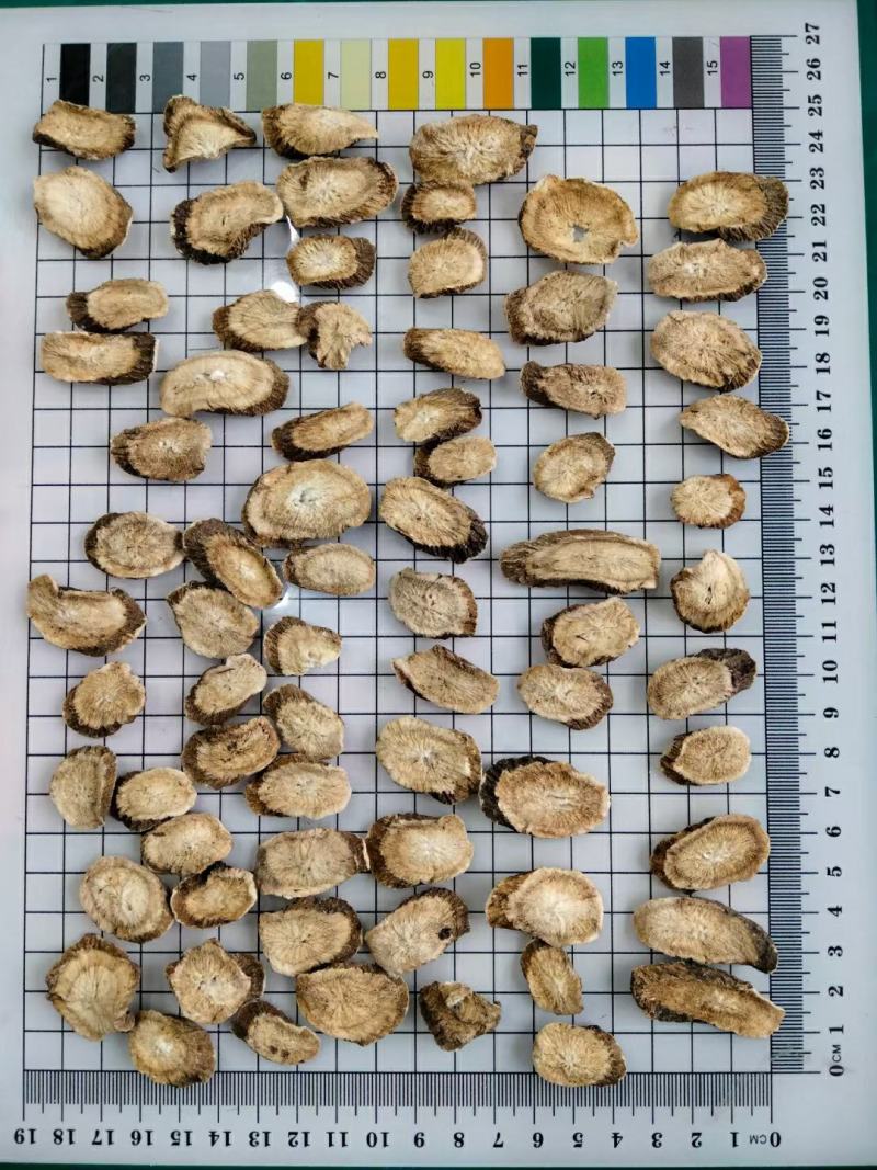 牛蒡根片干货常年经营各种中药材量大从优欢迎选购！