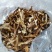 长白山区野生榛蘑，大腿蘑，趟子蘑柴火烘干，每斤38元起