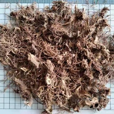 红毛七干货中药材干净无杂质量大从优
