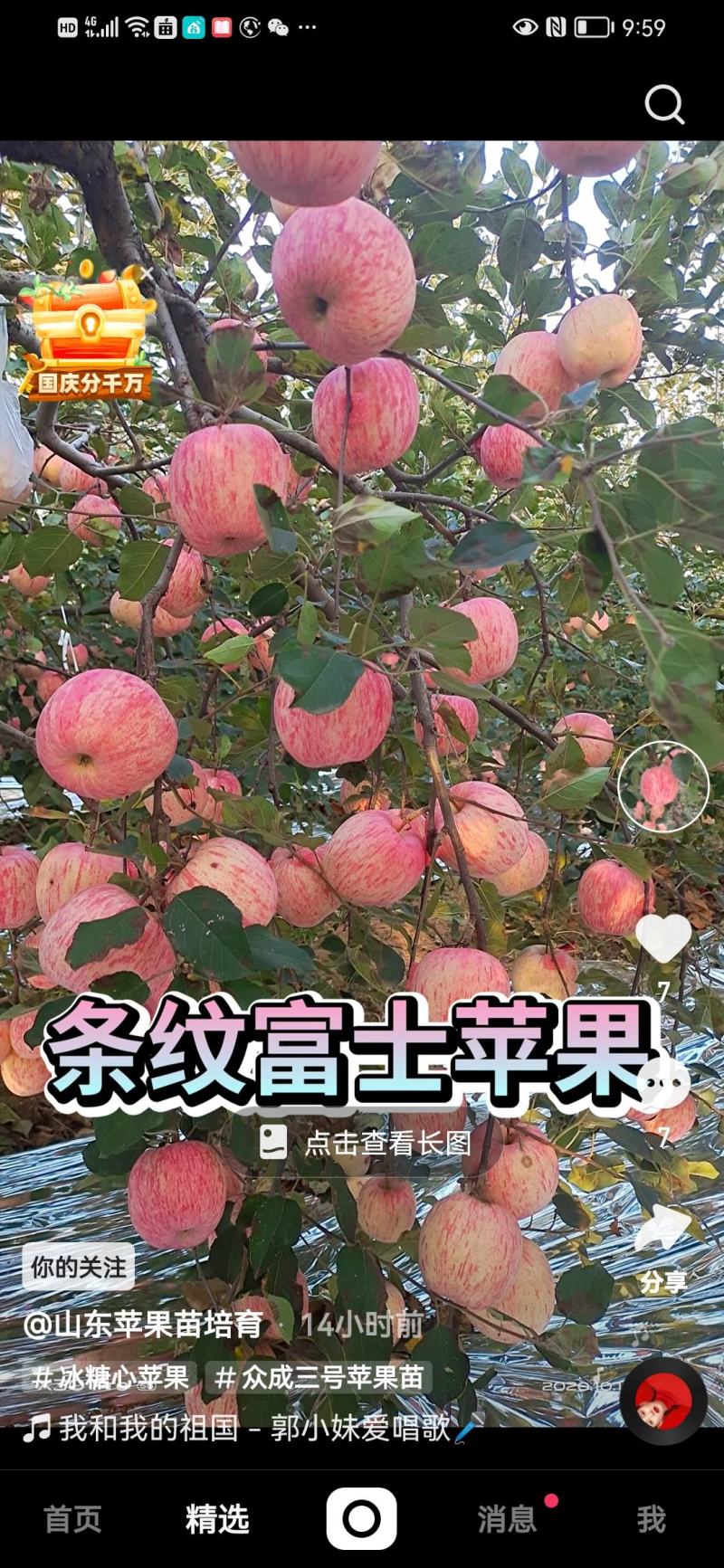 红富士苹果