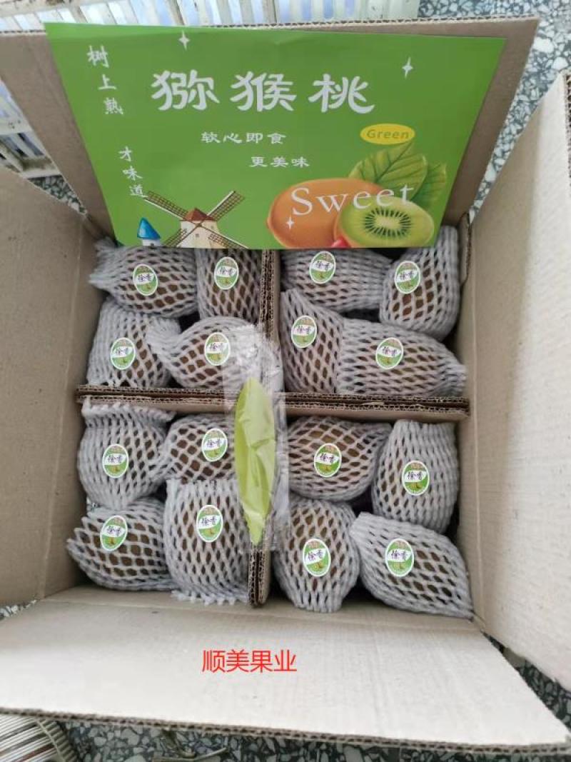 陕西绿心猕猴桃