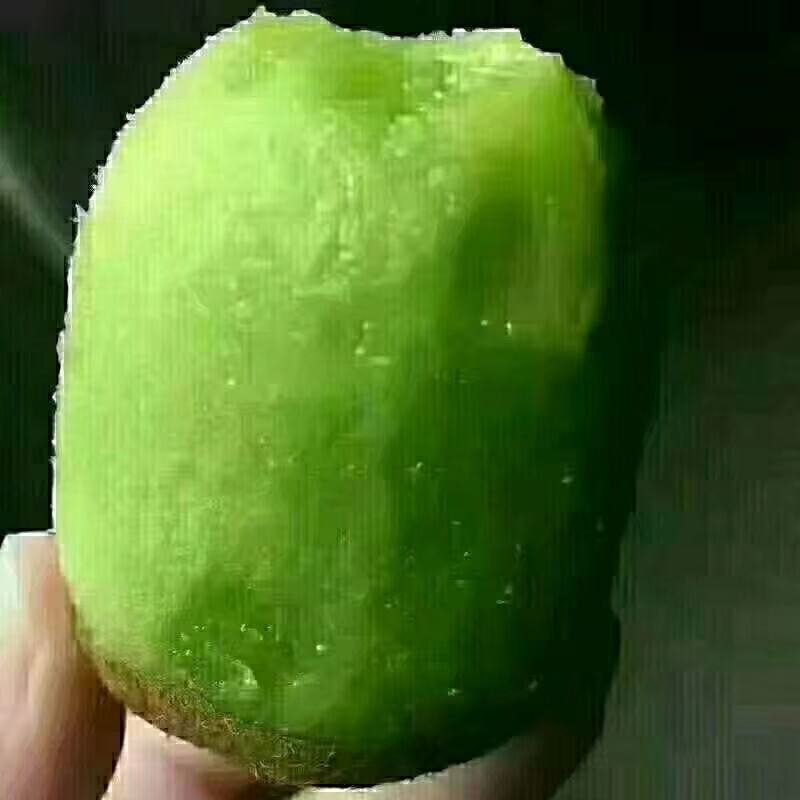 陕西绿心猕猴桃