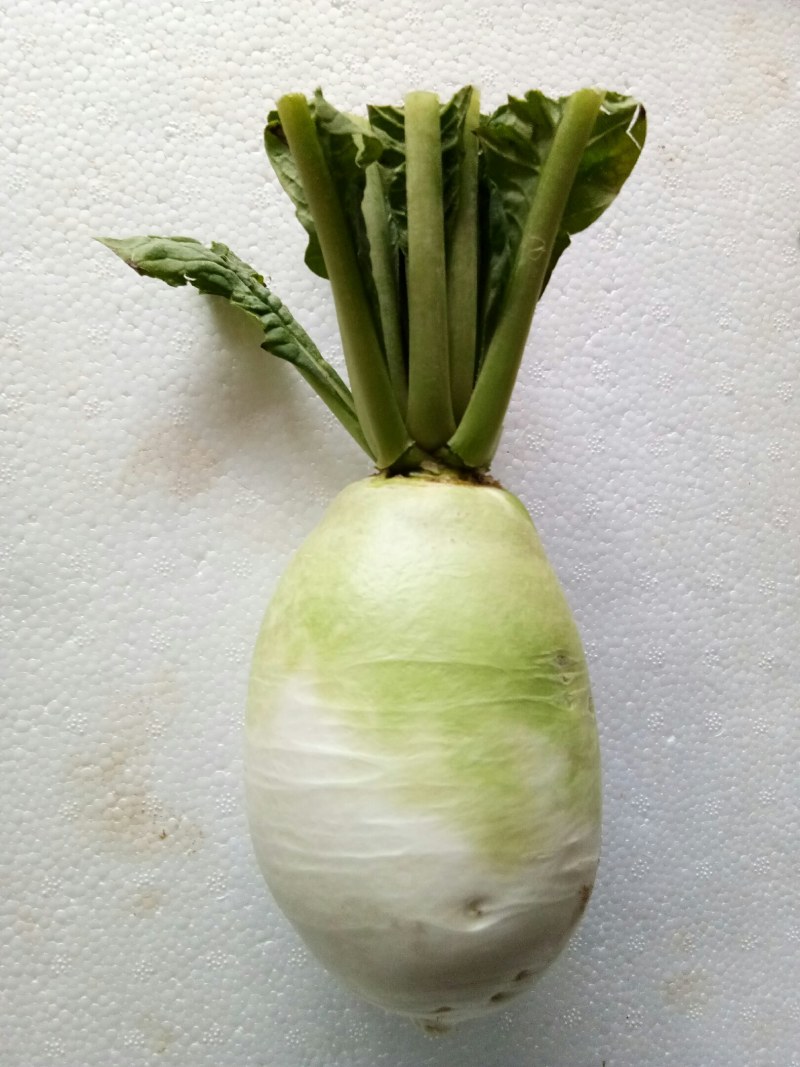 萝卜（新鮮圆萝卜現货）