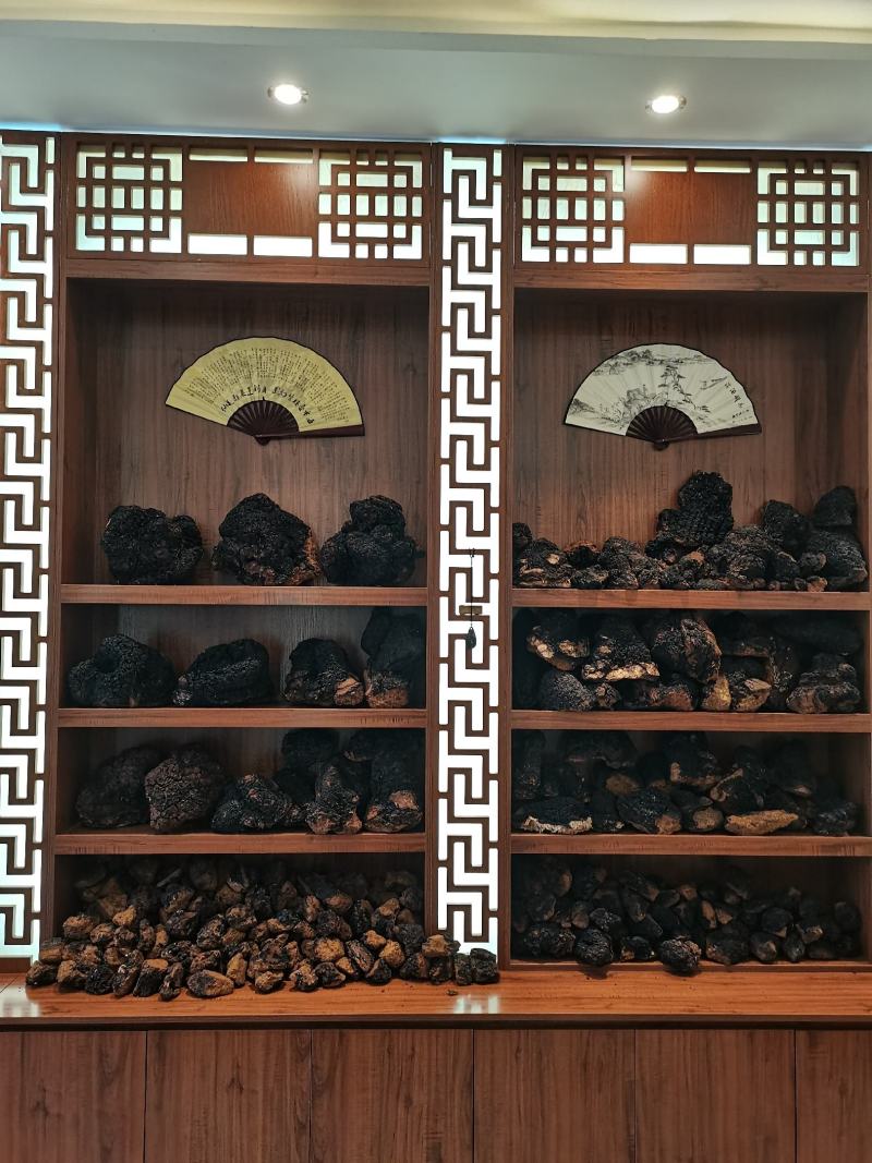 桦树茸，白桦茸，桦褐孔菌，品类齐全，诚信为本